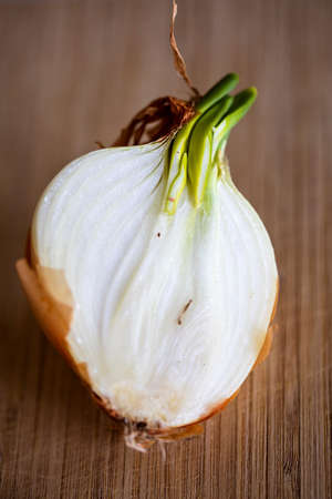 A half of a sprouting bulb or common onion and lying on a wooden cutting board. The layers of the vegetable are visible and also where it shoots. The allium cepa still has its peel around it.の写真素材