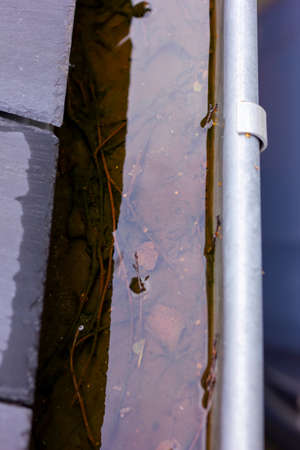 A close up portrait of a clogged roof gutter full of rain water during a rainy and cloudy day. The bottom of the drain is full of leaves and other natural waste and is hanging next to a slate roof.の写真素材