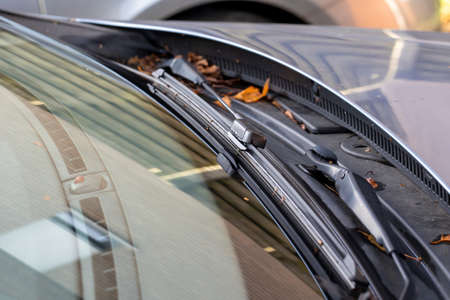 A portrait of a windshield wiper of a car standing at its lowest of base position and the blade is resting on the glass of the window of the vehicle and is surrounded by some fallen autumn leaves.の写真素材