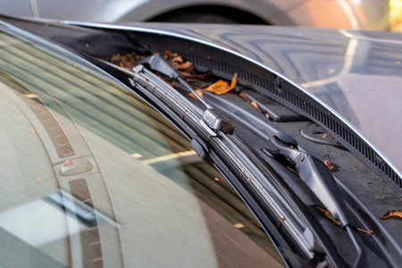 A portrait of a windshield wiper of a car standing at its lowest of base position and the blade is resting on the glass of the window of the vehicle and is surrounded by some fall leaves.の写真素材