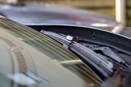 A close up portrait of a windshield wiper of a car standing at its lowest of base position. The blade is resting on the glass of the front window of the vehicle.の写真素材
