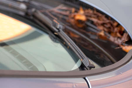 Brecht, Belgium - November 27 2021. A close up portrait of some Volvo windshield wipers, the blades are at their base or start position on the glass and there are some autumn leaves beneath them.のeditorial素材