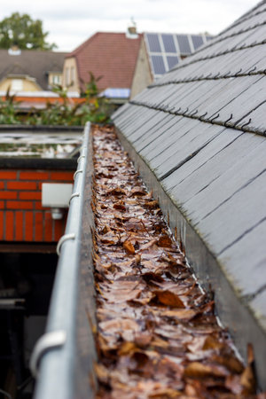 A portrait of a clogged roof gutter with a lot of brown fallen autumn leaves in it and water which cannot be drained. This is an annual chore during fall season.の写真素材