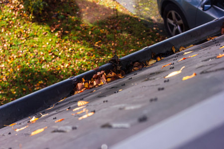 A portrait of a roof gutter with some fallen leafs in it during autumn. This is an annual chore...