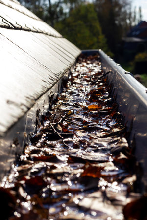A portrait of a clogged roof gutter with a lot of colorful autumn leaves in it and water which cannot be drained. This is an annual chore during fall season.の写真素材