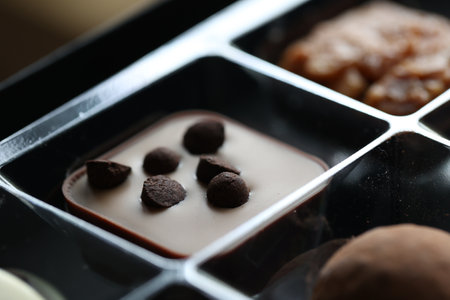 A closeup portrait of a fancy chocolate praline or bonbon covered with some small dark chocolate pieces. There are multiple tasty treats in the plastic squares of the premium box.の写真素材