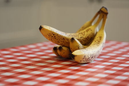 A closeup portrait of yellow bananas with some brown spots lying on a red and white table cloth on a kitchen table. The delicious energizing food is ready to be eaten.の写真素材