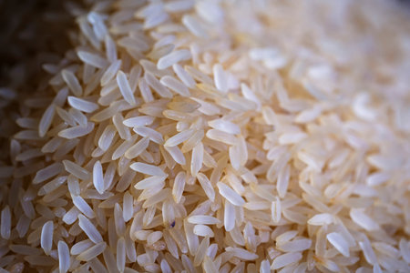 A close-up portrait of a pile of white rice. The heap of uncooked food exists of small grains, ready to be used in a delicious dish and eaten.の写真素材