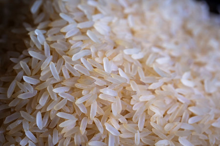 A close-up portrait of a pile of uncooked white rice. The heap of food exists of small grains, ready to be used in a delicious dish and eaten.の写真素材