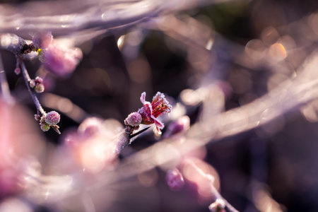 D:\Shutterstock\keywording\keyword group\To submit\DONEの写真素材