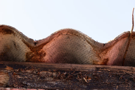 A closeup of an asbestos corrugated sheet lying on a roof of a garden house. The dangerous material should be safely removed by a certified remover.の写真素材