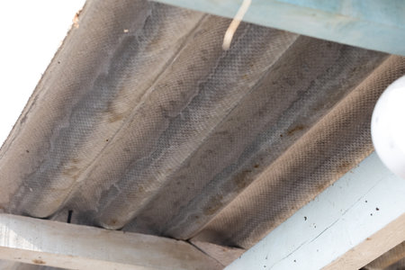 A portrait of a corrugated sheet made of asbestos lying on a roof of a garden house. The dangerous material should be safely removed by a certified remover.の写真素材