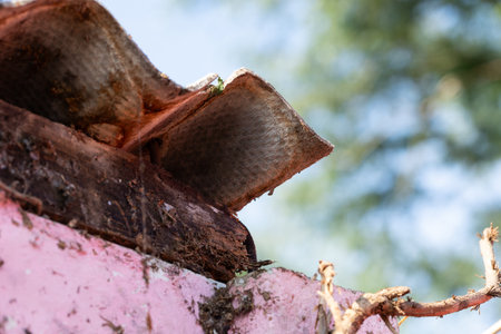 A macro of a corrugated sheet made of asbestos lying on a roof of a garden house. The dangerous material should be safely removed by a certified remover.の写真素材