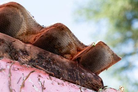 A macro of a corrugated sheet made of asbestos lying on a garden house roof. The dangerous material should be safely removed by a certified remover.の写真素材