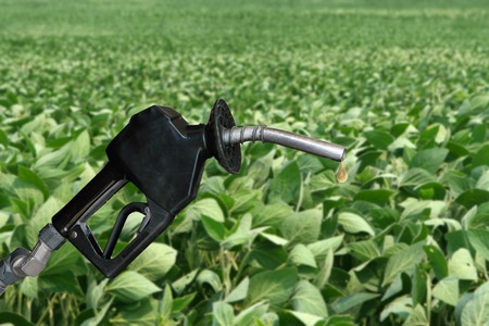 drop of fuel from a gasoline nozzle with soybean field in backgroundの写真素材