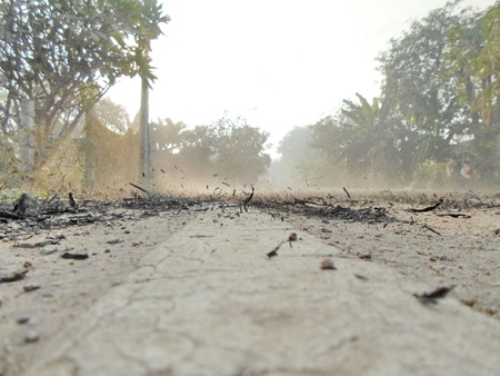 Dust and smoke caused by a fire at a New Forest.の写真素材