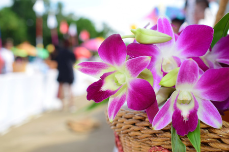 Orchid flowers are used in religious ceremonies in Thailand. /Selective focus. /conceptの写真素材