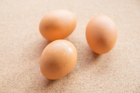 eggs