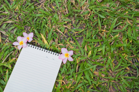 notebook on grassの写真素材