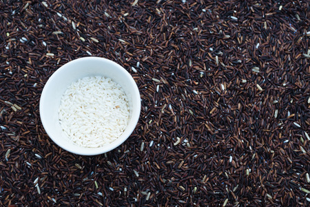Raw and uncooked rice  and empty white bowlの写真素材