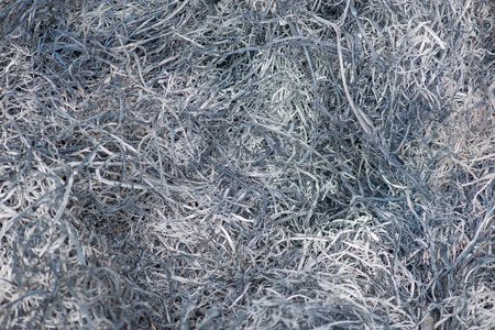 burn down grass backgroundの写真素材