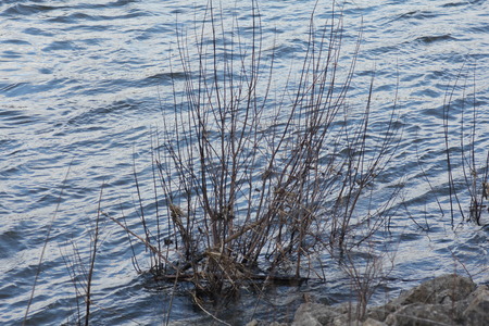 Riversideの写真素材