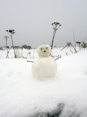 Small nail snowmanの写真素材