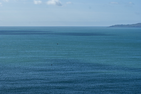 coastal views in devon uk .