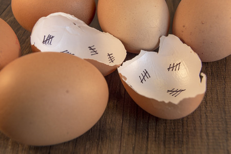 Egg shells shown lying on a wooden with marks inside counting down the days till hatching,