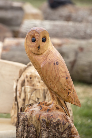 Wadebridge, Cornwall, UK, June 11 2016 -Showing a carved owl made from a tree trunk, on display at a forestry demonstraion at an agricultural showのeditorial素材