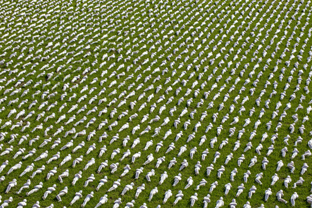 Exeter, Devon, UK, July 6 2016 - Showing an arists recreation and installation at a public park, symbolising the 19240 troops that died on the first day of the battle of the somme by creating 19240 individual, see http://www.thesomme19240.co.uk/のeditorial素材