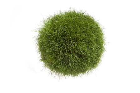 A sphere of real grass like a globe against a white background の写真素材