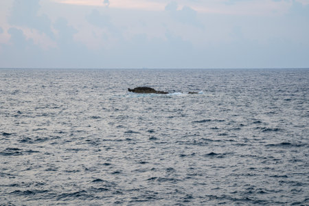 Crocodile rock in Dwejra Gozoの写真素材