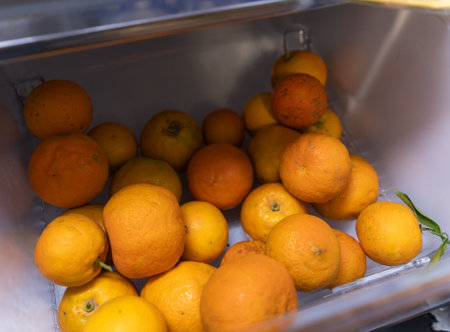 Freshly Picked Oranges and Citrus Fruits Stored in a Refrigerator Drawerの写真素材