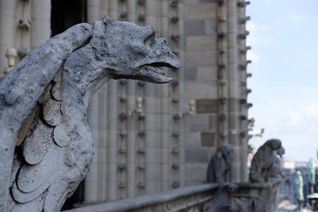 Gargoyle close up on Notre-Dame de Paris in Paris Franceの写真素材