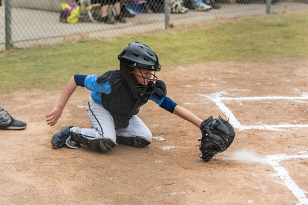 Skilled little league baseball catcher scooping a low pitch out of the dirt as it kicks up a cloud...