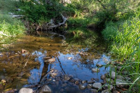 Flowing creek slows at this calm pond water reflecting surounding trees on surface in California valleys in Spring.の写真素材