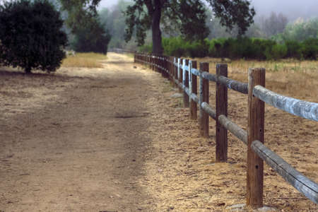 Hiking trail leads into the foggy tree forrest along wooden fence in Southern California forrest.の写真素材