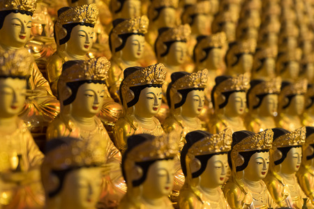 Golden Buddhas of Bongeunsa Temple in Seoul, South Korea.の写真素材