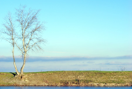 Early winter landscape with ice,beach and treesの写真素材