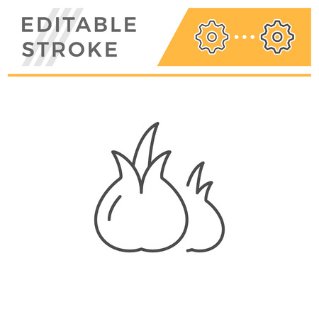 Onion line icon isolated on white. Editable stroke. Vector illustrationのイラスト素材
