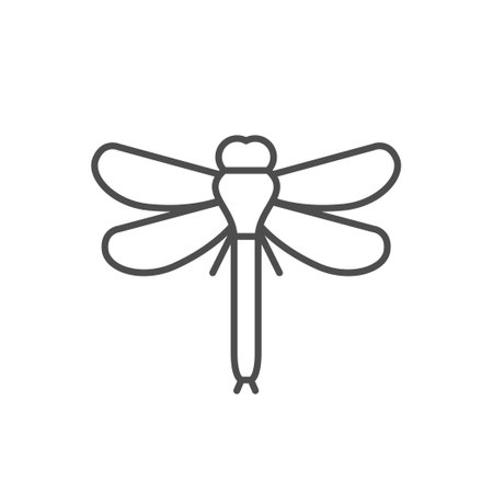 Dragonfly line outline icon or insect conceptのイラスト素材