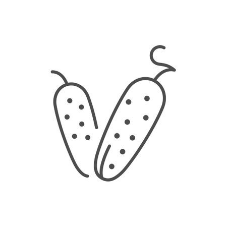 Cucumber line icon or vegetable conceptのイラスト素材