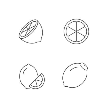 Lemon fruit line outline iconのイラスト素材