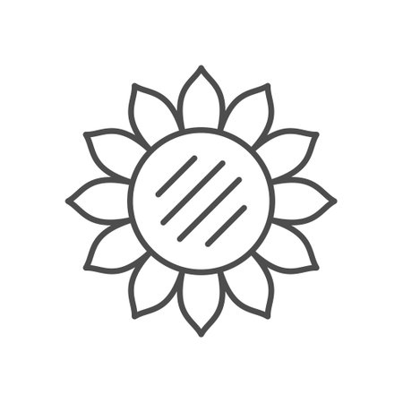Sunflower plant line outline iconのイラスト素材