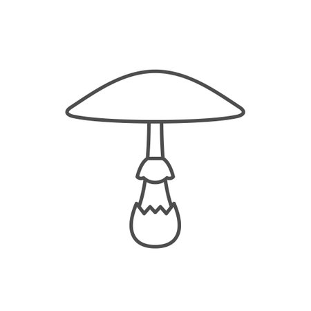 Amanita pantherina line outline iconのイラスト素材