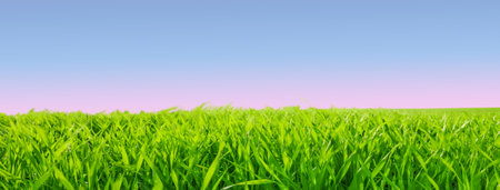 Green grass and blue sky panoramic banner background with copy space
