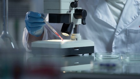 Medical examiner researching blood particles found on victim body to find killer