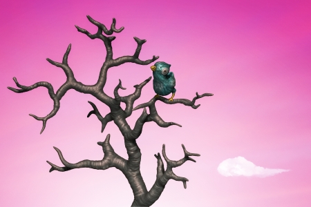 Blue bird perching in the dead treeの写真素材