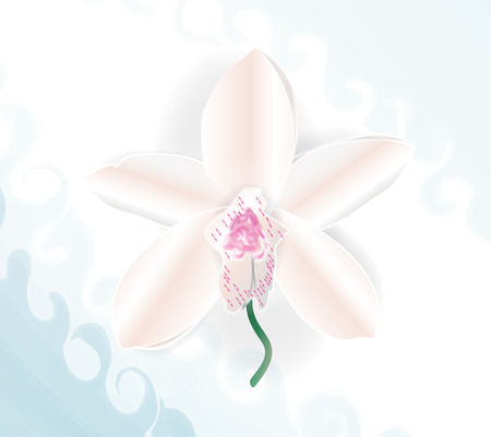Orchid iconのイラスト素材